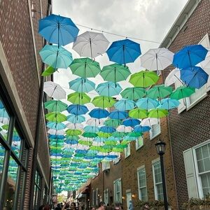 Meet your Posher, Michelle